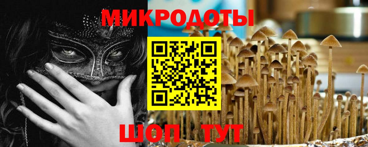 Галлюциногенные грибы прущие грибы Нарткала