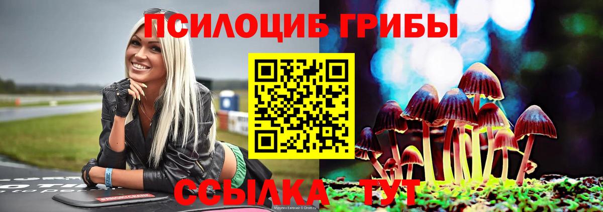 Нарткала  Псилоцибиновые грибы MAGIC MUSHROOMS  Вход с VPN 